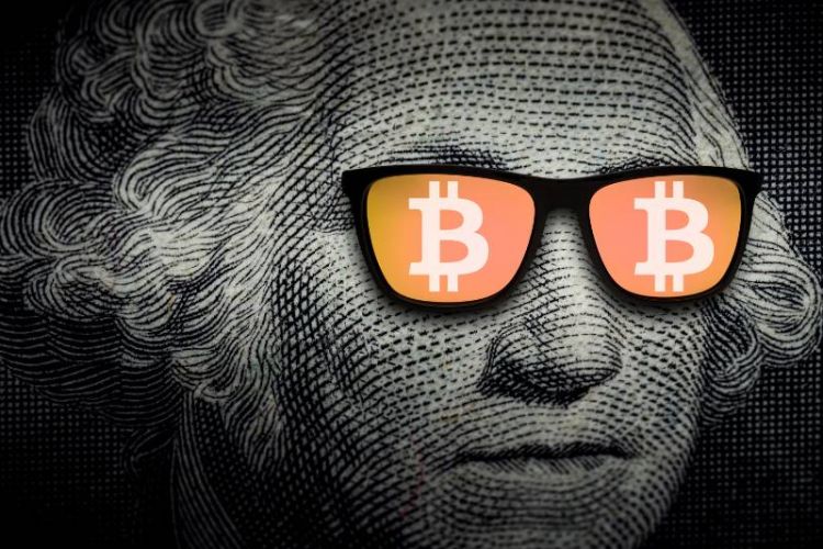 Bitcoin Fidelity